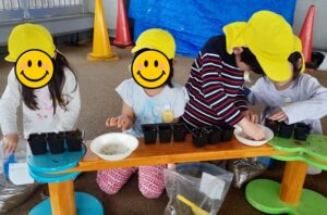 食育　～米作り②「種まき(播種)」～