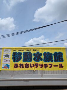 ふれあい移動水族館がありました☆彡